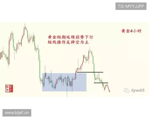 利物浦进攻转化高效，但防线问题加剧稳定性承压